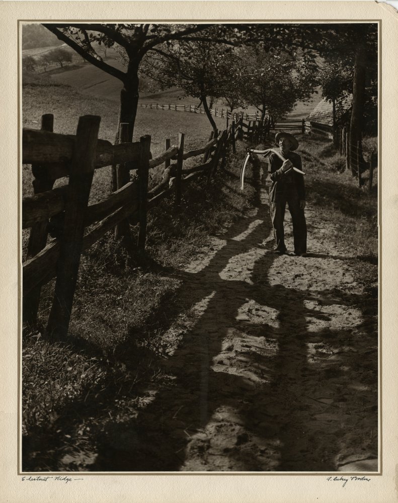 Click for larger image